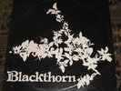 BLACKTHORN - SAME - WHM UK 1977  FOLK PRIVATE
