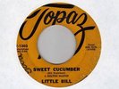 NW rocker LITTLE BILL Sweet Cucumber TOPAZ   HEAR