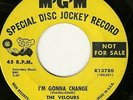Velours - I'm Gonna Change - Northern Soul - Beach
