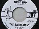 BARBARIANS 45 Hey Little Girl 1964 GARAGE w/ promo bio