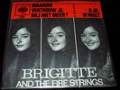 Brigitte& Fire Strings NL talige 60s singel Waarom vert
