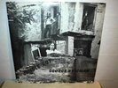 GEORGE BRIGMAN  Jungle Rot  LP  orig  private pressing