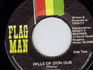 TRINITY over Yabby You/Perry  JAH VENGENCE rhythm   ??