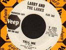 (Hear) 1966 Larry & the Larks Northern Soul (Tell Me)