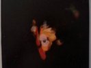 Nilsson Pandemonium Shadow Show Boxed LP