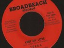 TERRA SET YOUR LOVE IN MOTION/KEEP MY LOVE 45 RPM