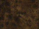 CIRCLE OF OUROBOURUS-Streams LP Xasthur Watain Burzum