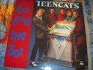 rare,33t, teencats , rockabilly , rock n roll