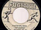 CANTELOPE ROCK / THE LECTURE - THE FUGITIVES