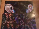 Tool - Lateralus Double-LP Picture Vinyl - New