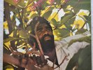 Junior Byles- Rasta No Pickpocket LP REGGAE-KING CHUBBY
