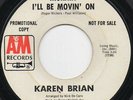 KAREN BRIAN 45  POP  ROGER NICHOLS