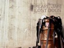 Pearl Jam Lost Dogs vinyl LP out of print