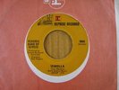 JIMI HENDRIX-STEPPING STONE/ IZABELLA-MINT