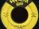 GARY MIDDLETON Don't Be Shy orig TX ROCKABILLY 45 hear