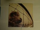 Pearl Jam Vs. LP Sealed Vinyl