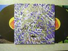 PORTUGAL THE MAN censored colors 12