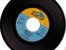 Northern Soul Ad Libs Johnny My Boy Blue Cat