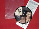 NIRVANA oh the guilt  the jesus lizard picture disc