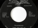 rare Soul 45 TEAKWOOD can you dig it ENCORE Listen
