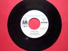 Rare SIXTO RODRIGUEZ Sugar Man SINGLE Psych Acid Folk