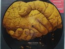 PINK FLOYD Ivor Wynne LP picture disc