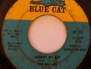 NORTHERN SOUL Ad Libs - Johnny My Boy LISTEN
