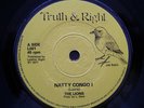 THE LIONS  NATTY CONGO I  ABSOLUTE ROOTS KILLER