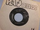 THE SATISFIED MINDS  I Can't Take Garage Fuzz 45 LISTEN