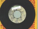 THE PIONEERS[AS SOULMATES] ON THE MOVE /JUMP /LK/listen