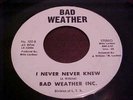 BAD WEATHER INC.- BAD WEATHER #100 
