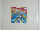 Sunburned Hand Of The Man - Jaybird Qbico LP
