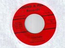 GREAT ERIE PA FUNK 45/Fancy Colors on Sound & FURY