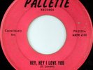 rare Rockabilly 45 JERRY JAYE on PALETTE Listen