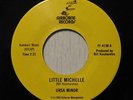 Ursa Minor UNKNOWN US POWER-POP '83 powerpop kbd ?HEAR?