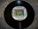 FESTIVAL-JIMMY RICKS-OL MAN RIVER/OH WHAT A FEELING--45