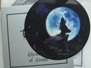 LIMBONIC ART Chronicles of Limbo box 6 LP picture disc