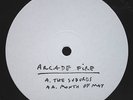 ARCADE FIRE SUBURBS NEW 12