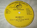 TERRI GONZALEZ Caught Up DIsco Soul 12
