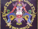 INSECT TRUST Same 1st LP EDSEL Beacon Street-EarthOpera