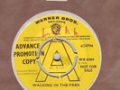 GRAHAM BOND DEMO *WALKING IN THE PARK* WB SUPER 2SIDER