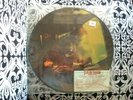 STEVIE RAY VAUGHAN COULDN'T STAND PICTURE DISC LP