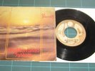 POOH Mediterraneo System 1977 CI PENSI 45 giri RARO 