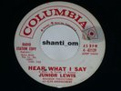 RARE Northern SOUL 45 JUNIOR LEWIS Columbia PROMO Hear