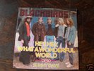 BLACKBIRDS Hey  what a wonderful world 7'' GERMAN BEAT