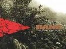 BANE - IT ALL COMES DOWN TO THIS, VINYL, SXE, HC, XXX