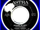 COUNT FERRELL WIZARD OF AHS '65 GARAGE FUNK 7 MAD MIKE?