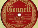 Gennett 3291 DUKE ELLINGTON ORCH - Wanna Go Back  Again
