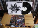 VINEGAR SAME LP IN MINT FOTO INSERT KRAUTROCK ULTRA RAR