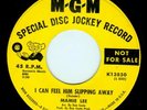 I CAN FEEL HIM SLIPPING AWAY- Mamie Lee, N. soul, promo